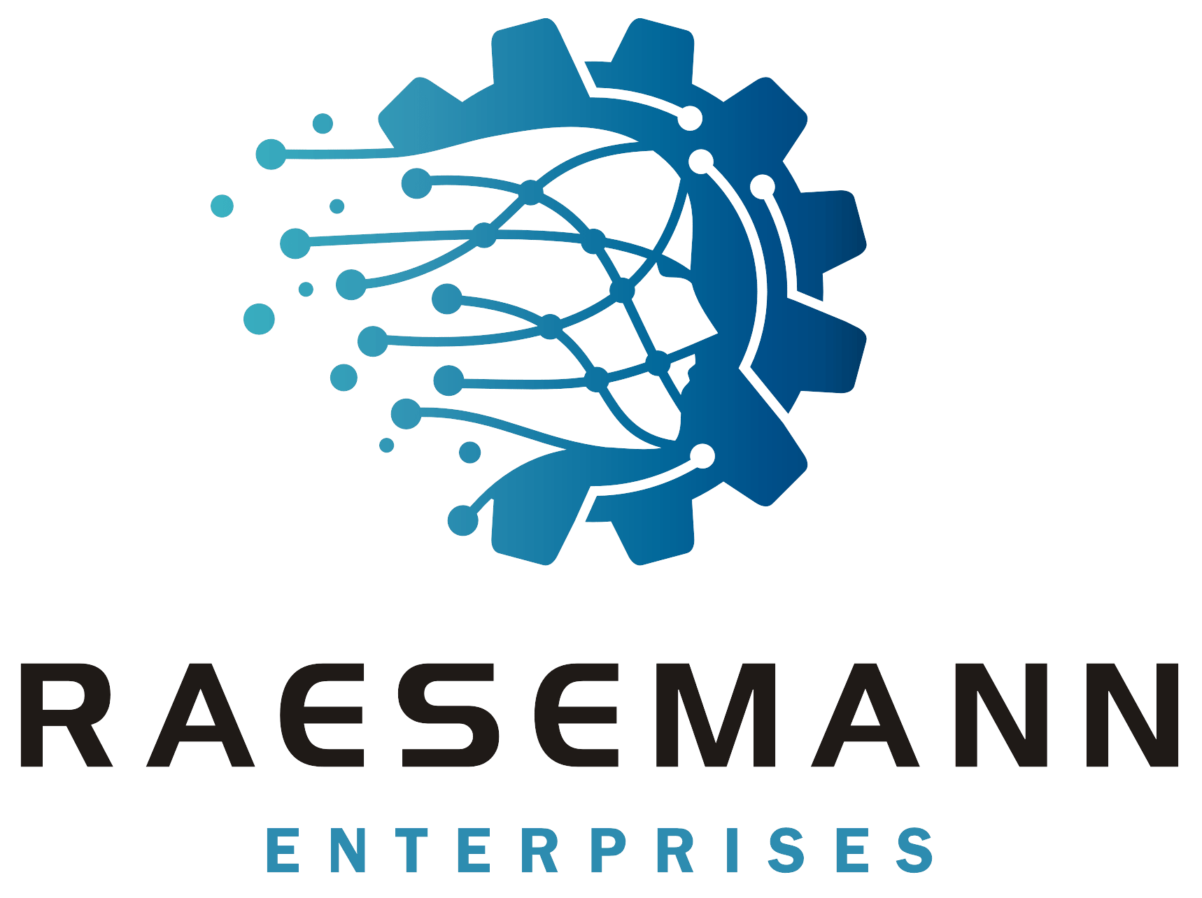Raesemann Enterprises, Inc.